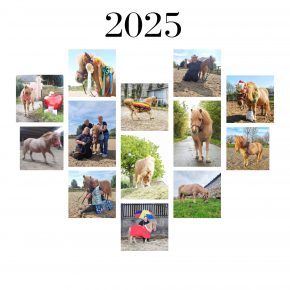 BILLY JO HOWE AND PUMPKIN