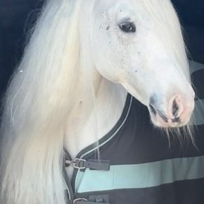 BLUEBELL AND RHONDA BENNETT COMBEN