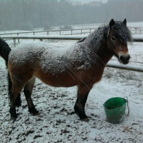 CRYSTAL AND CHRIS DAVITT