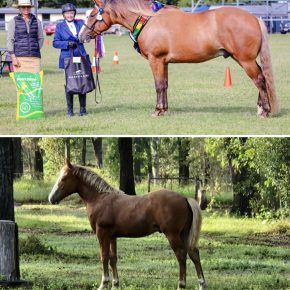 FLAME 6 MONTHS- 3YRS  AND KAREN GREEN