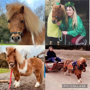 HARVEY AND LEANNE LAWLOR