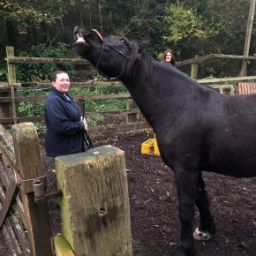 HINATA AND SAM FRISKNEY