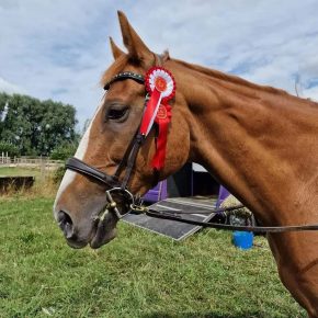 LISA LOLLY AND SHORTY