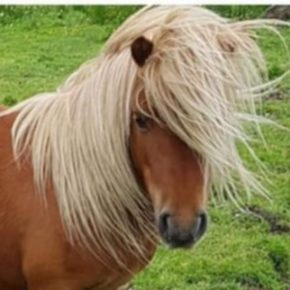 MAGNUS AND KATHRYN MARTIN