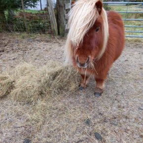 MAGNUS AND KATHRYN MARTIN