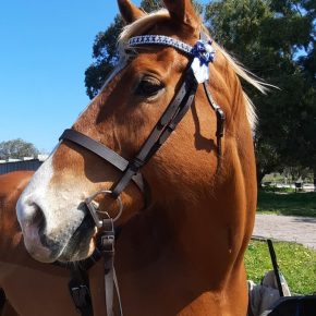 MALIBU MIDNIGHT AND RACHAEL GRUBB