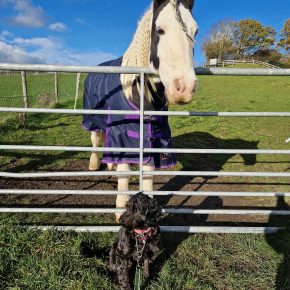 MARLI AND ROSIE WITH AMANDA HARRISON