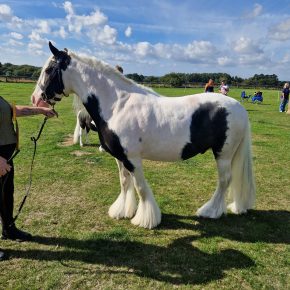 MARLIA AND AMANDA HARRISON ( FIRST TIME SHOWING MARLI)