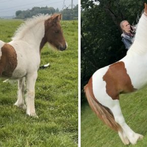 MELODY AND SHANNON RAMSDEN