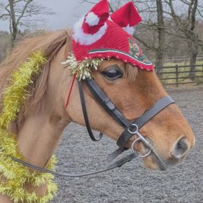 NIKITA AND TRACY CAMPBELL