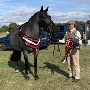 PEARL HARBOUR AND SIAN HODGES