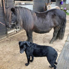 POLLY 28 YRS AND GINI SKIPPON