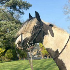 RAYNE AND BAYLIE LOUISE WILKINSON PIC 1