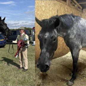 SIAN HODGES AND PEARL HARBOUR