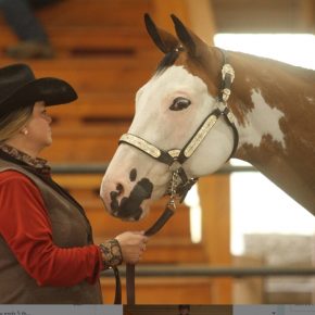 DENICE MACDONALD  AND RHYTHM N ROCK DAISY