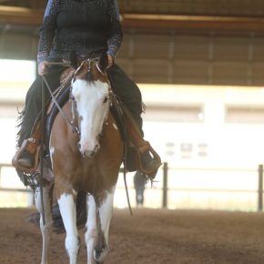 DENICE MACDONALD AND RHYTHM N ROCK DAISY