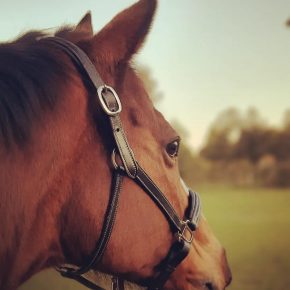 VALLEY GIRL AND RACHAEL GRUBB