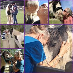 WINKY WOO .been a long journey, she's a rescue, didn't trust me,couldn't even groom her when I first got her,would kick....love her so much....probably the first kind home she's ever had! ( DONNA REYNOLDS)