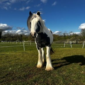 BAYLIE LOUISE WILKINSON  AND RAYNE PIC 1