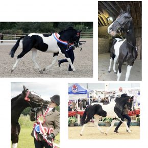 NICO AND JESSICA LILLY REYNOLDS