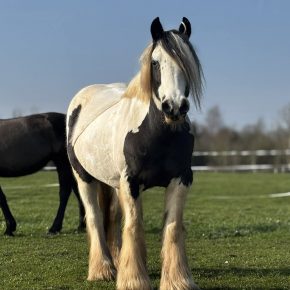 BAYLIE LOUISE WILKINSON & RAYNE PIC 2