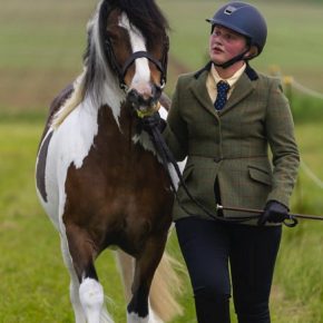 Sian hodges and star of india
