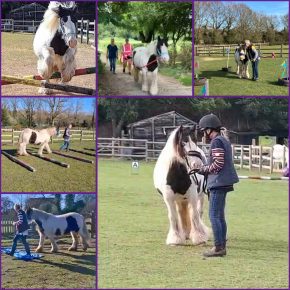 WINKY WOO AND REYNOLDS