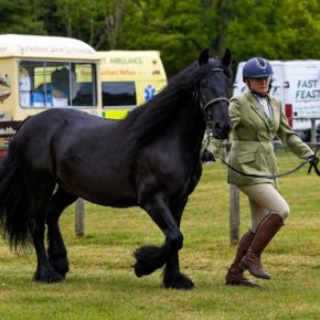 LAURA CHAMPION AND MERCURY RA